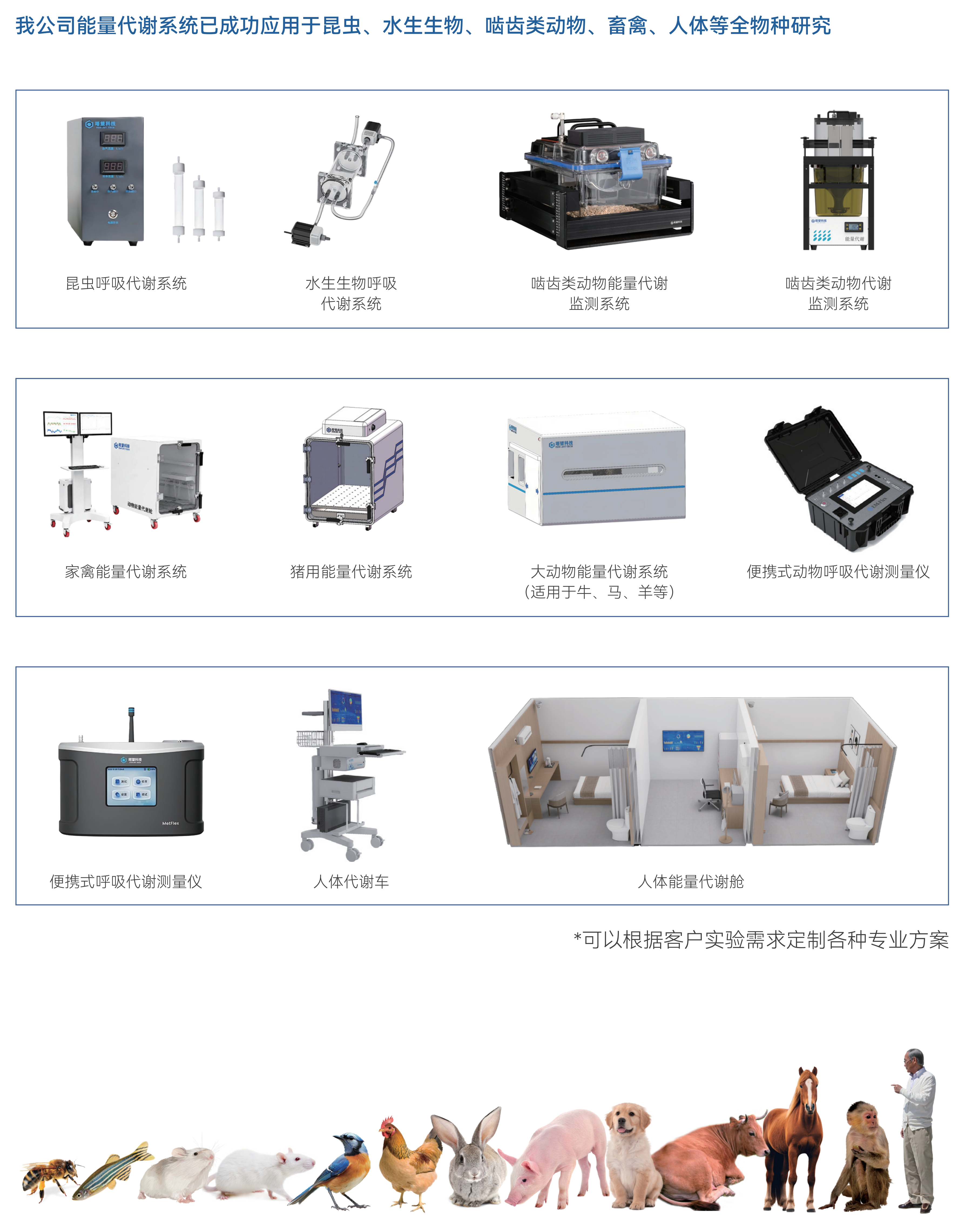 动物能量代谢系统_20260908_01.png